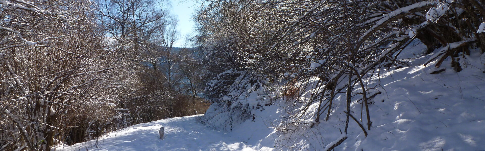 Découvrez le village de Larcat dans l'Ariège