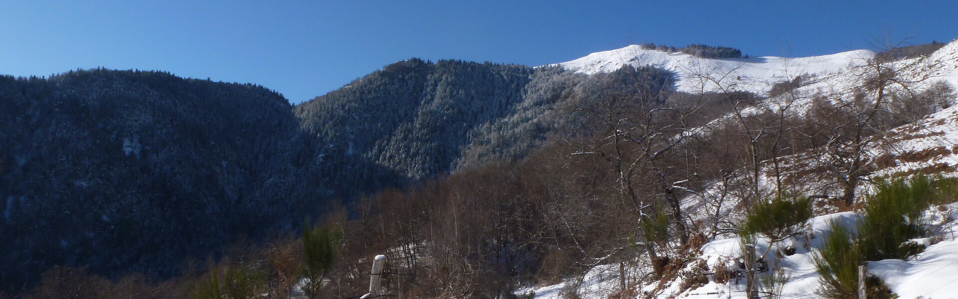 Les étangs et lacs autour de Larcat dans l'Ariège