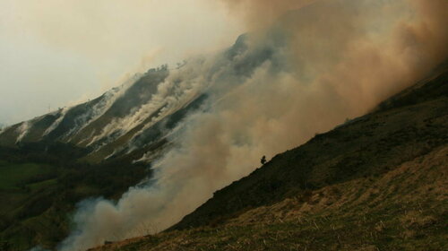 ECOBUAGE ou FEU PASTORAL ou BRULIS