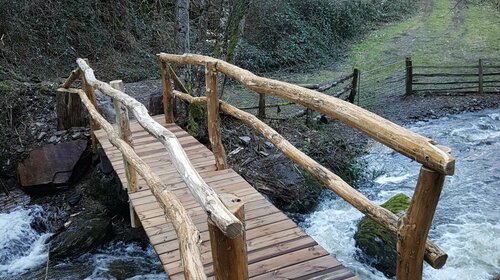 Petit pont de bois - Avril 2021