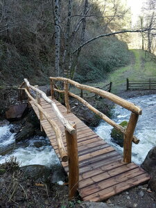 Petit pont de bois - Avril 2021